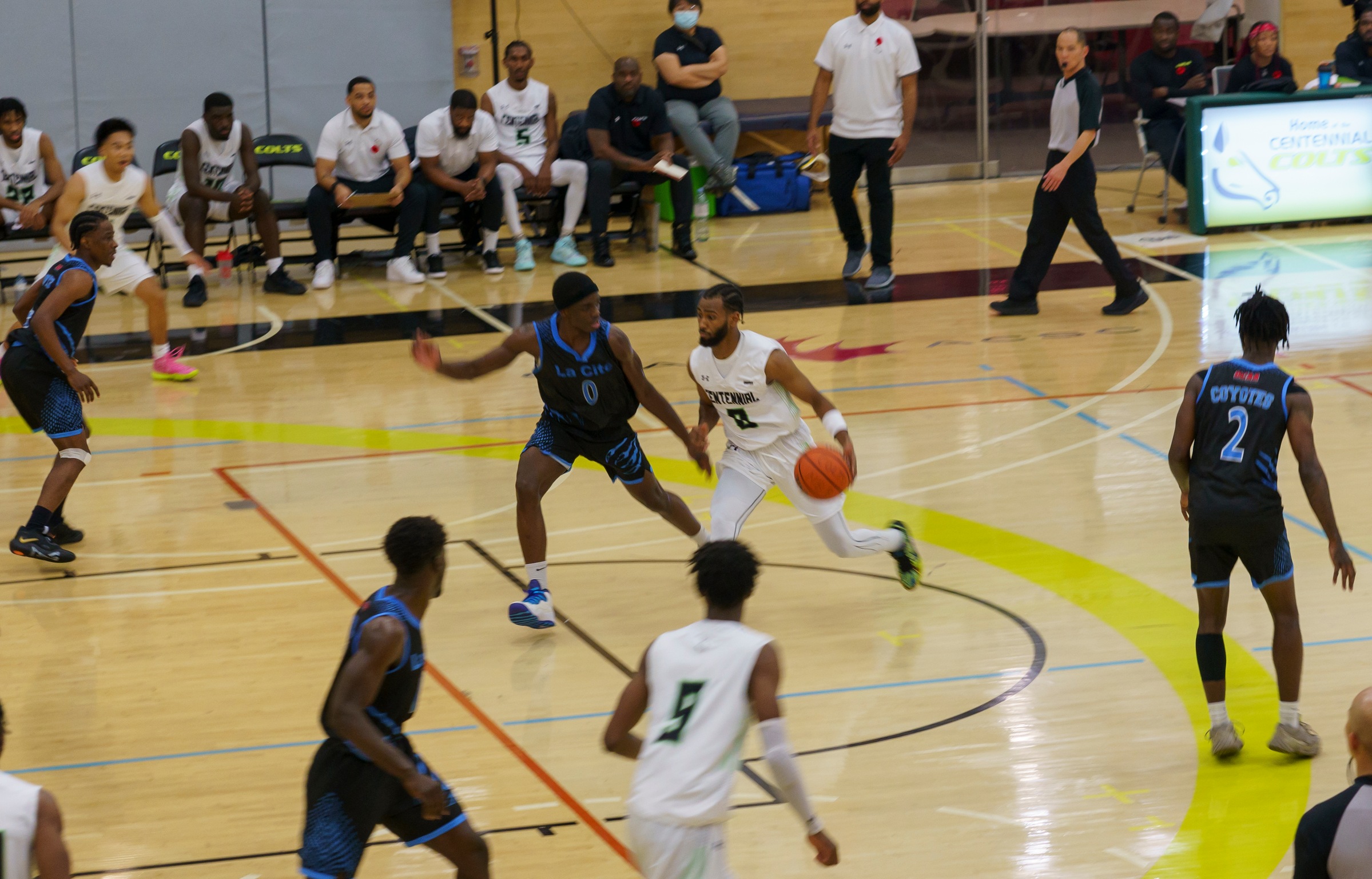 Colts Remain Perfect at Home