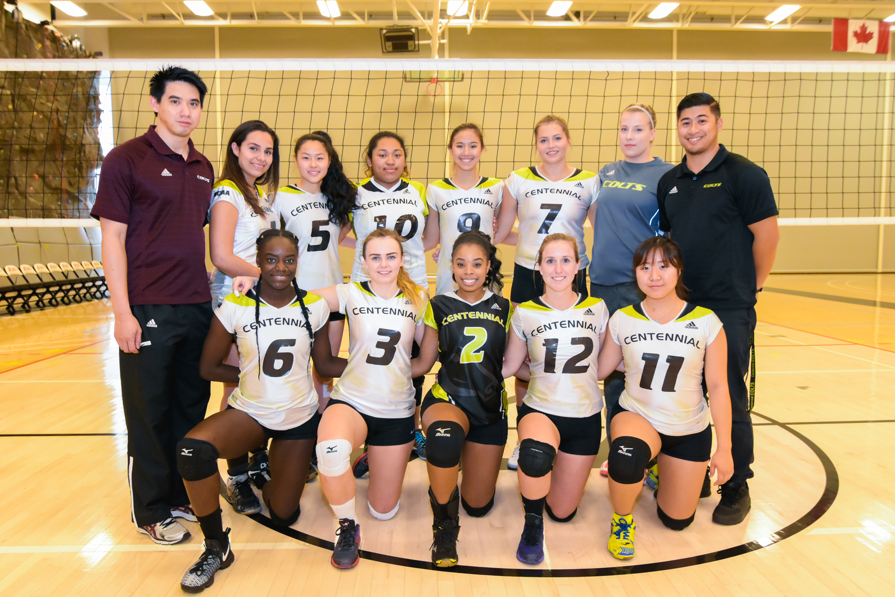 Women's Volleyball Unbeaten in 4 Straight